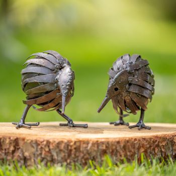 Twee Kiwi's